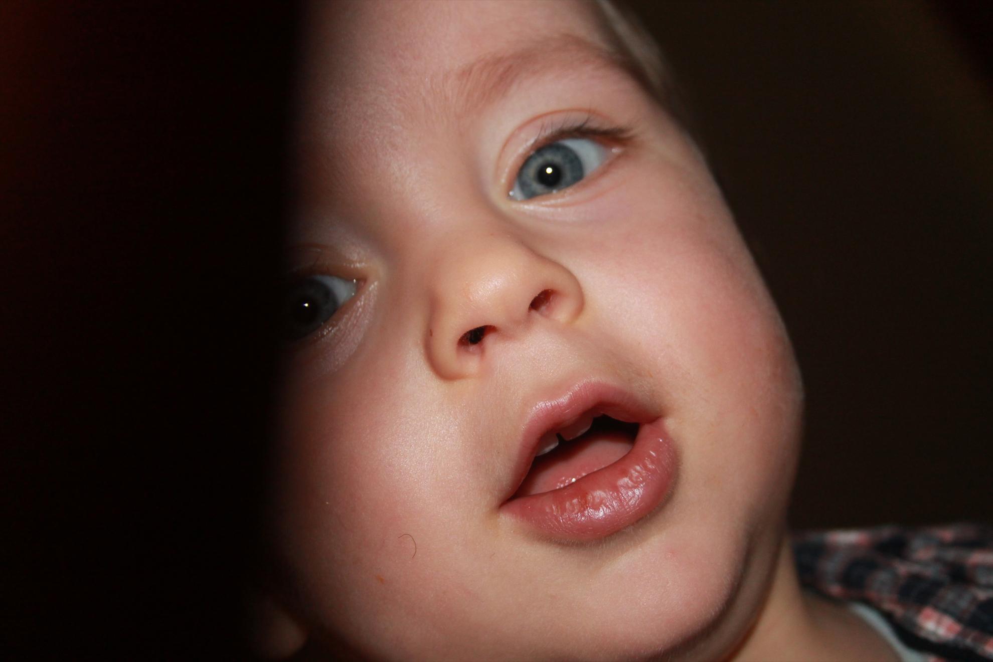 My new passion...2 - david-2ani-27511.JPG